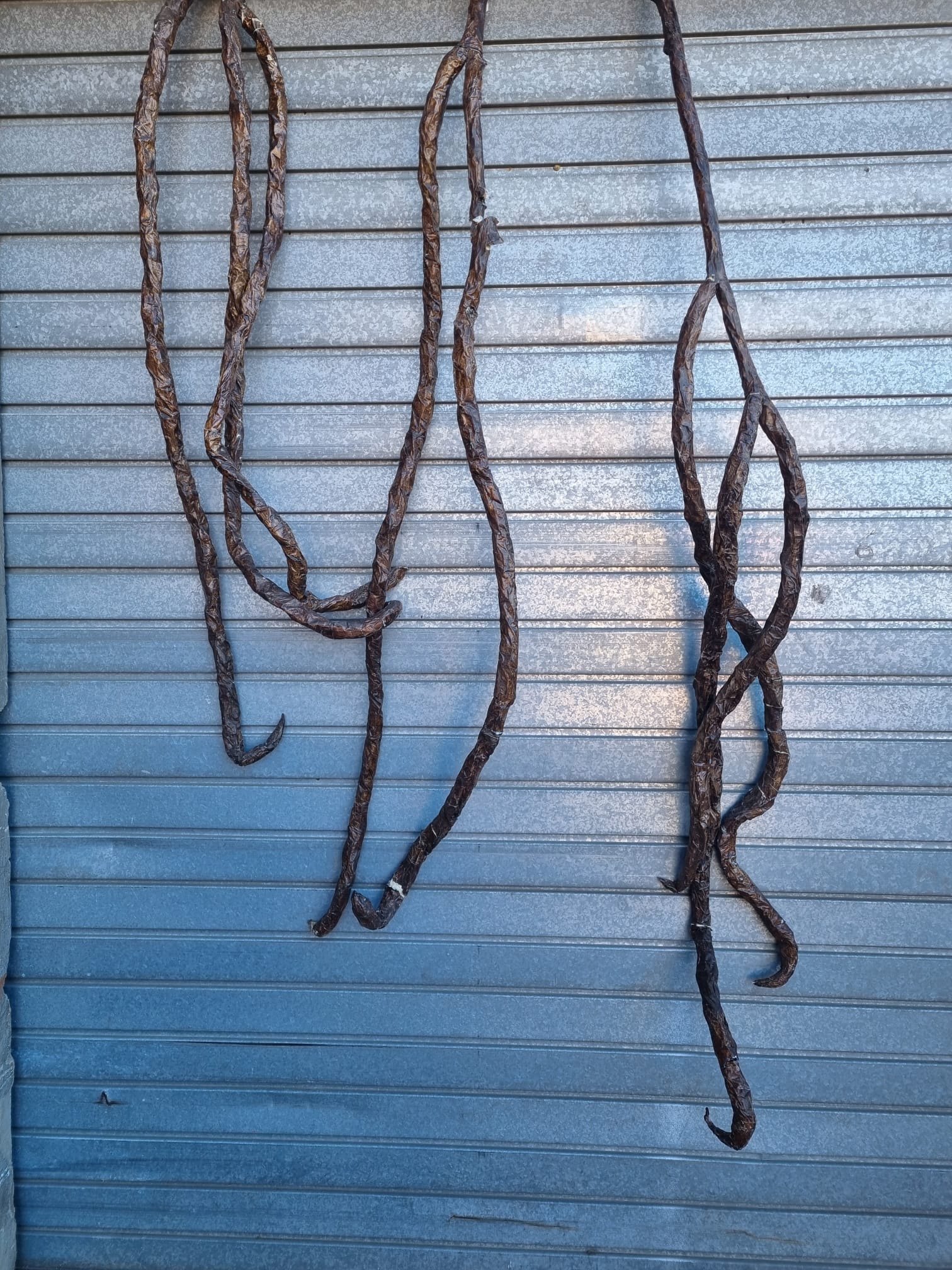 ramas liana tronco ficticio papel mache